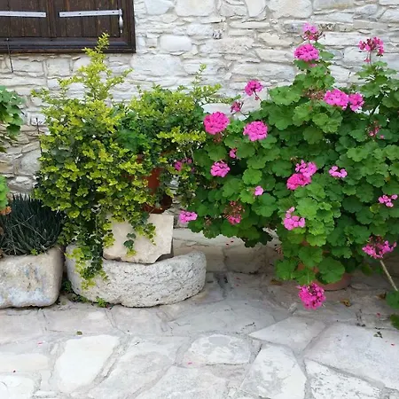 Traditional Village * Skarinou