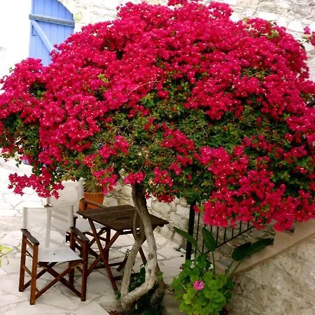 Gospodarstwo wiejskie Traditional Village