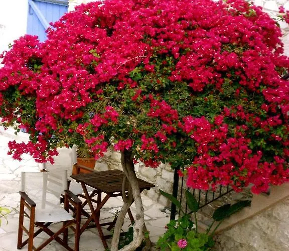 Casă la țară Traditional Village